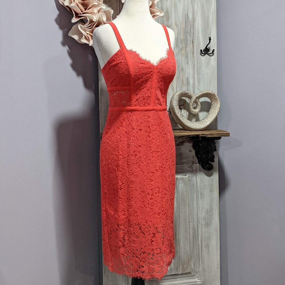 ❤️SOLD❤️NWT Express lacy sheath midi dress - Picture 2 of 9